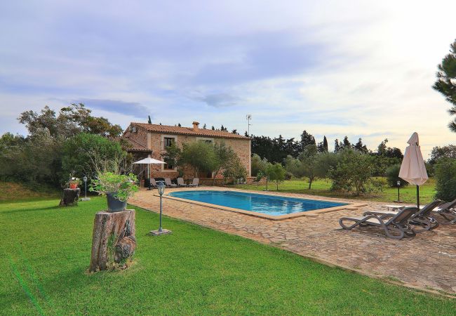 jardin, naturaleza, terraza, piscina, sombrilla, azul, finca