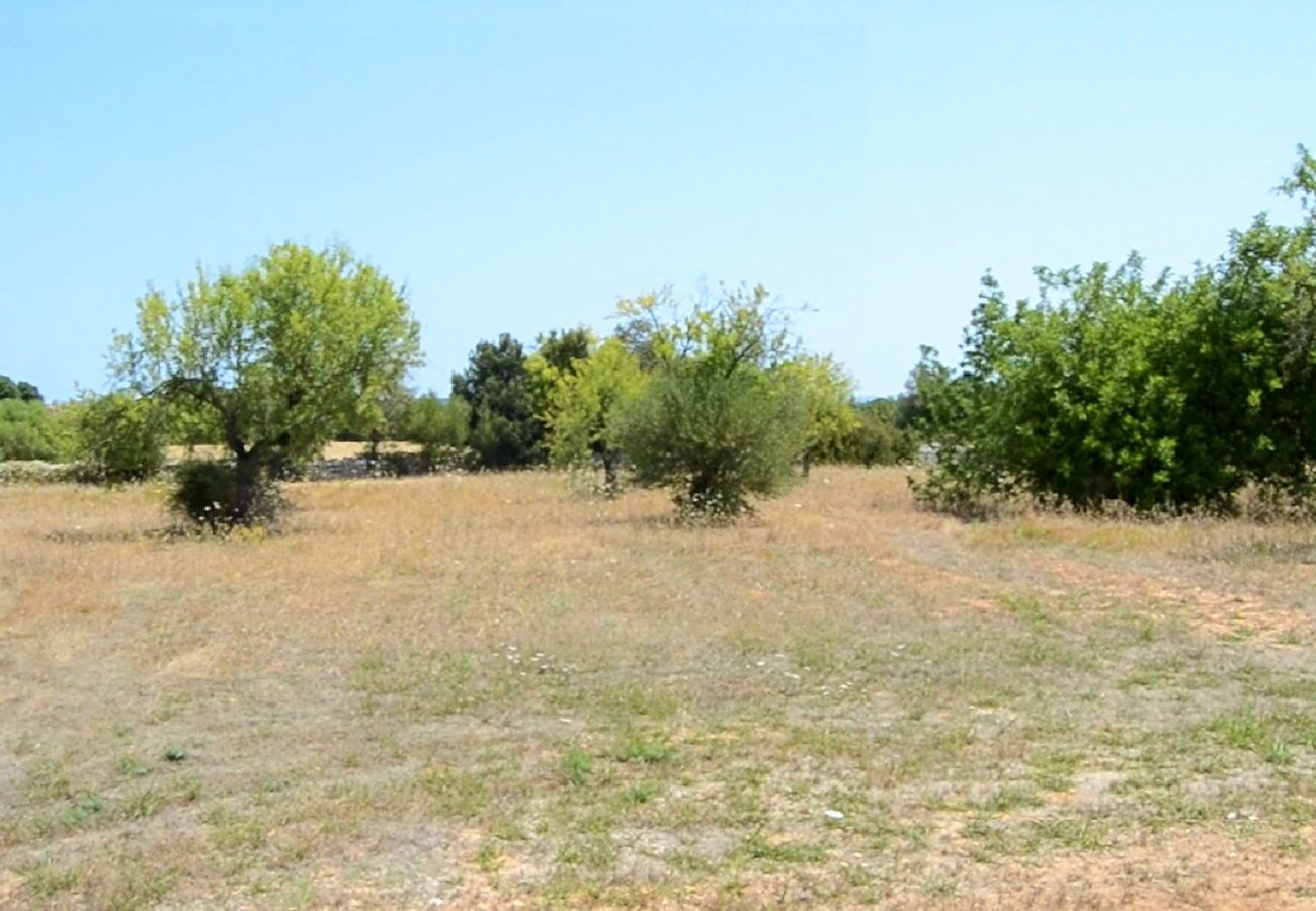 Finca en Llubi - 137 Finca Son Bernat ETV/9442 by Mallorca Charme