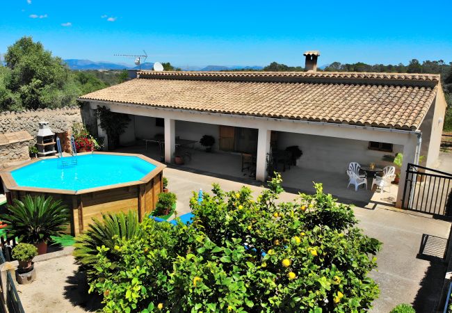 Piscina, jardín, espacio libre, sol, Mallorca