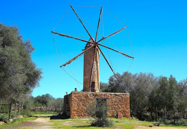 Son Serra de Marina - Finca