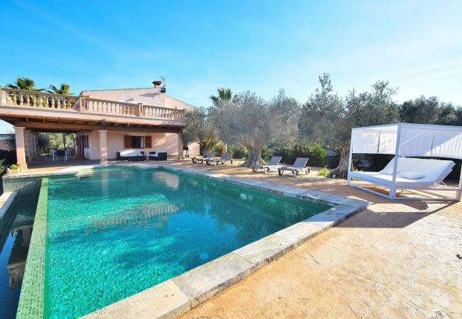 Piscina de la villa en Sineu