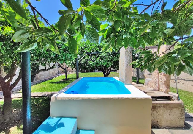 jardín grande con piscina y privacidad