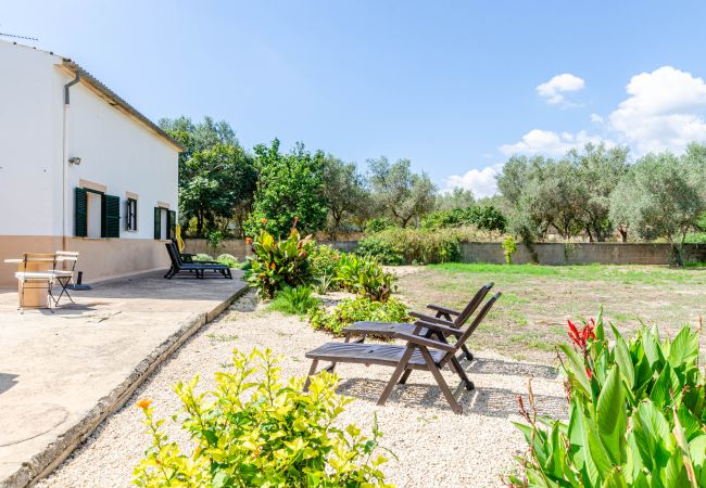 Villa en Binissalem - YourHouse La Suerte Villa en Binissalem - YourHouse La Suerte