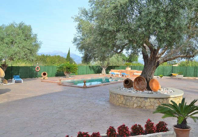 Terraza con piscina rodeada de naturaleza