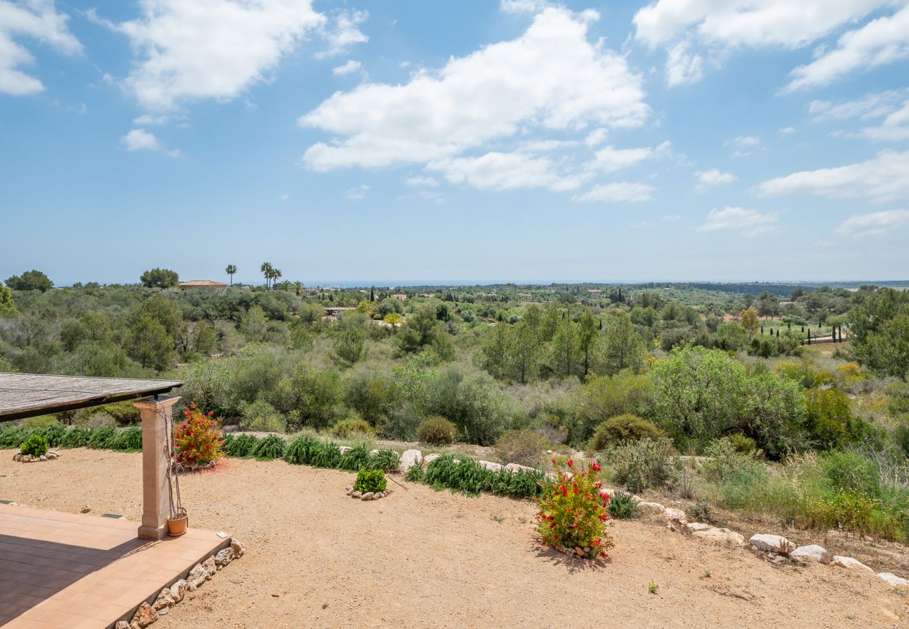 Villa en Manacor - Finca Sa Pleta