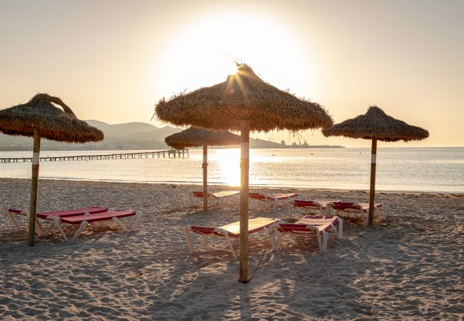 Apartamento en Alcúdia - Apartment playa 1C in puerto Alcudia Apartamento en Alcúdia - Apartment playa 1C in puerto Alcudia