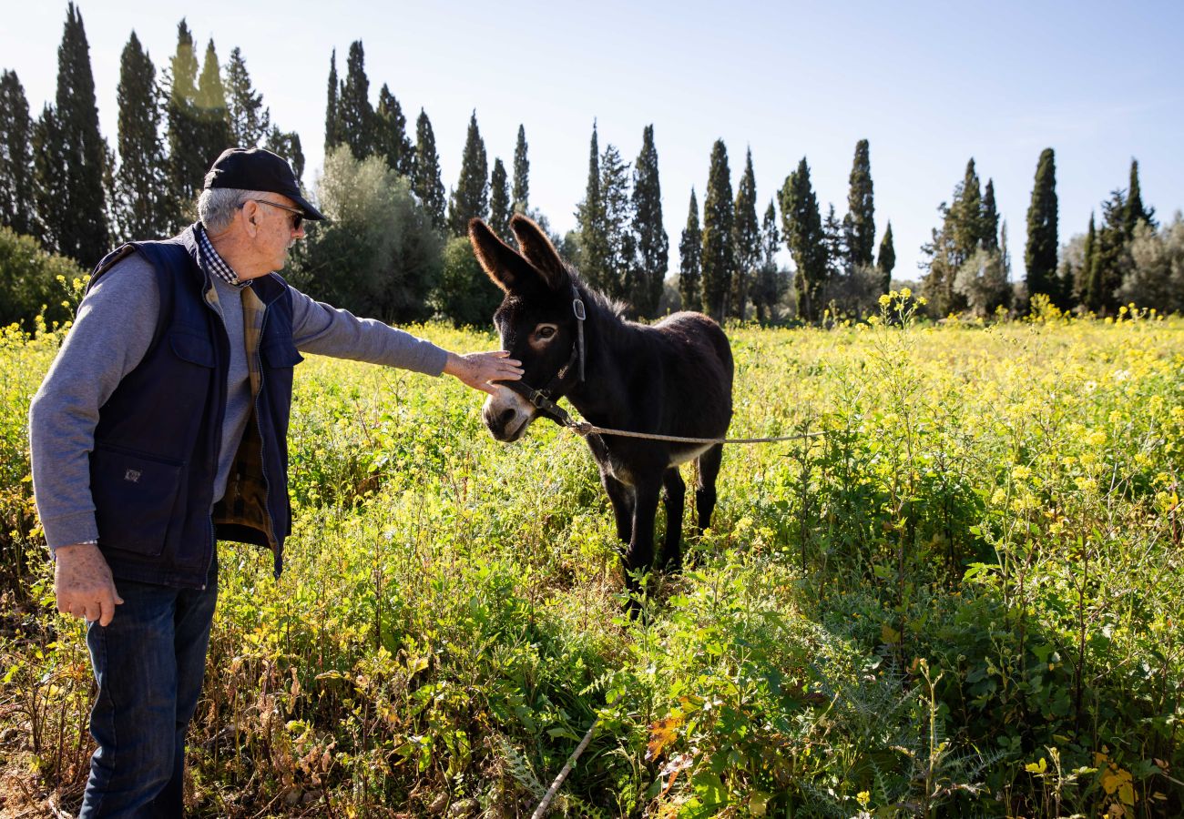 Apartamento en Maria de la salut - Apartment in rural house, YourHouse Deulosal