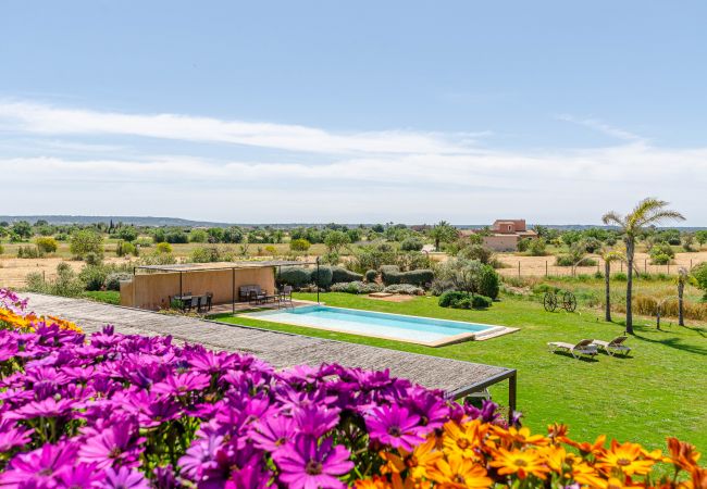 Villa en Campos - YourHouse Thalassa Villa en Campos - YourHouse Thalassa