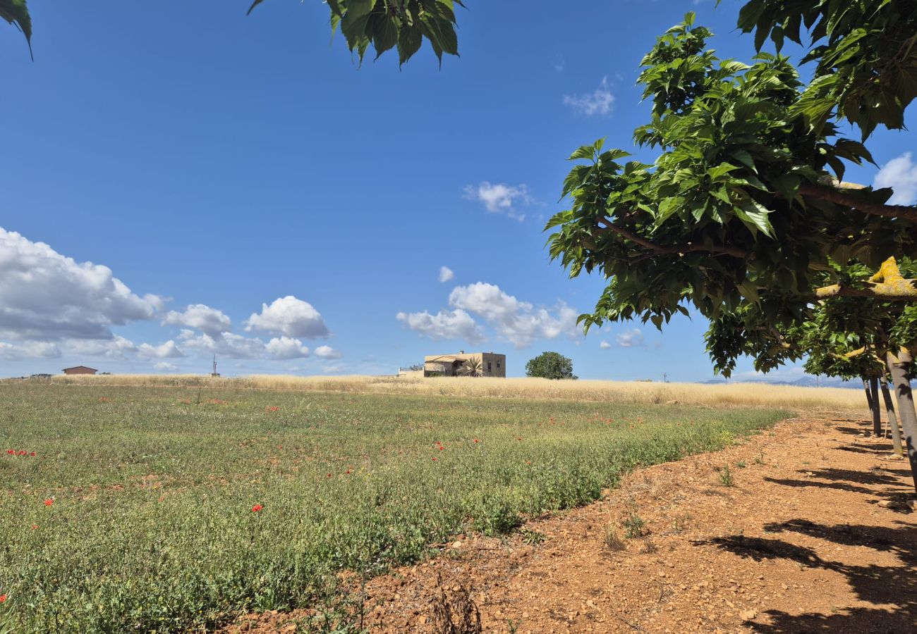 Villa en Muro - YourHouse Cas Padri
