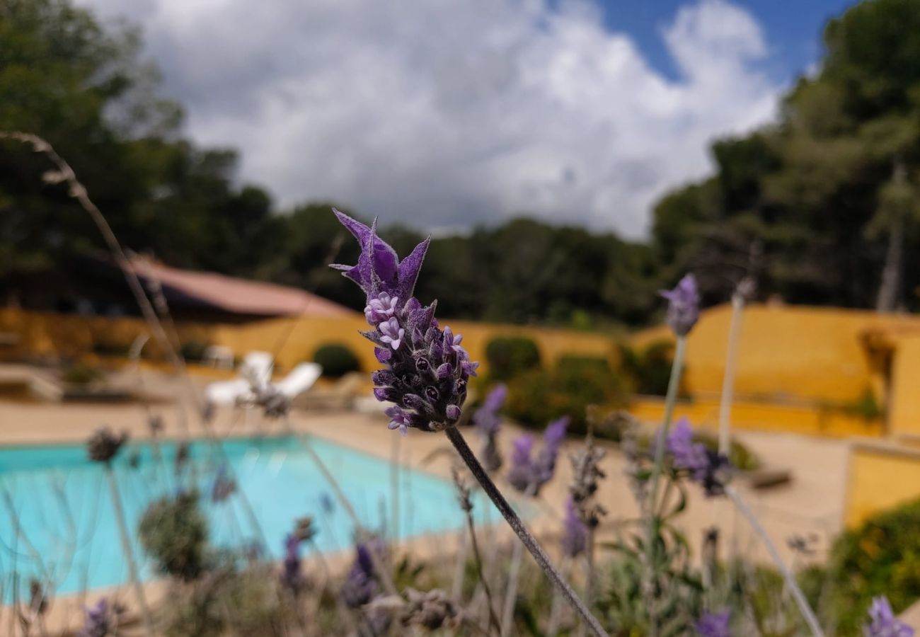 Apartamento en Cala Mesquida - YourHouse Sol i Mar 1