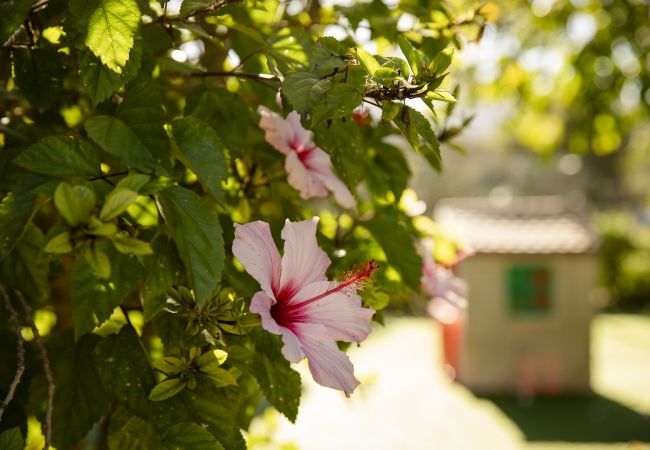 Villa en Felanitx - YourHouse Can Tries Villa en Felanitx - YourHouse Can Tries