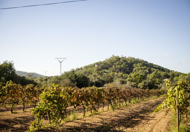 Villa en Felanitx - YourHouse Can Tries Villa en Felanitx - YourHouse Can Tries