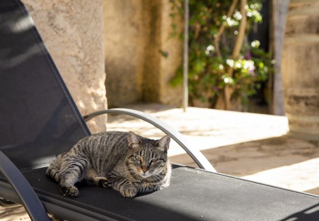 Villa en Felanitx - YourHouse Can Tries Villa en Felanitx - YourHouse Can Tries