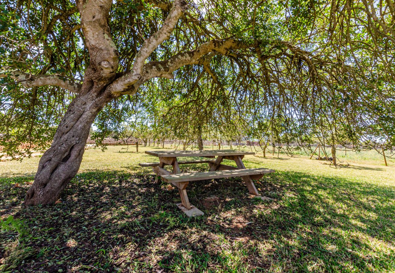 Estudio en Lloret de Vistalegre - YourHouse Agroturismo Can Porreti Es Colomer
