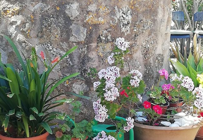 Villa en Arta - YourHouse Son Morey  Villa en Arta - YourHouse Son Morey