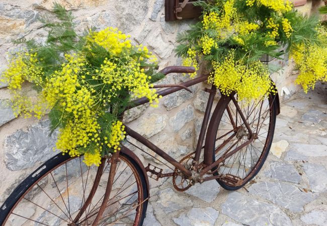 Villa en Arta - YourHouse Son Morey  Villa en Arta - YourHouse Son Morey