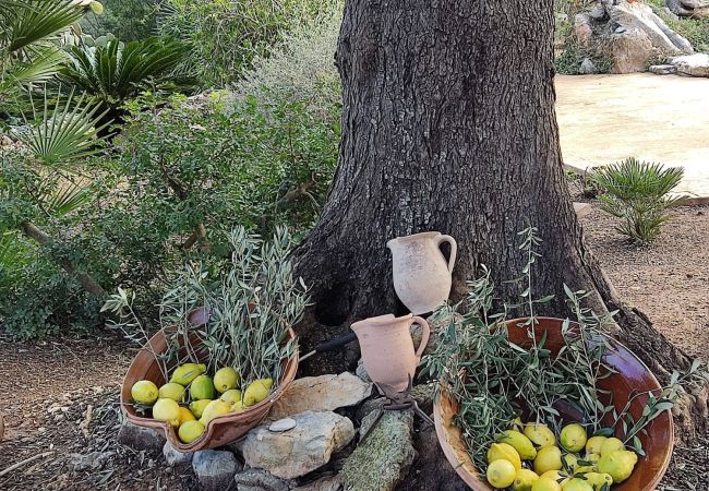 Villa en Arta - YourHouse Son Morey  Villa en Arta - YourHouse Son Morey