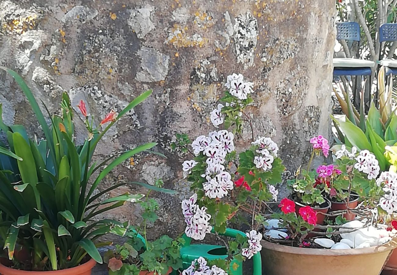 Villa en Arta - YourHouse Son Morey 