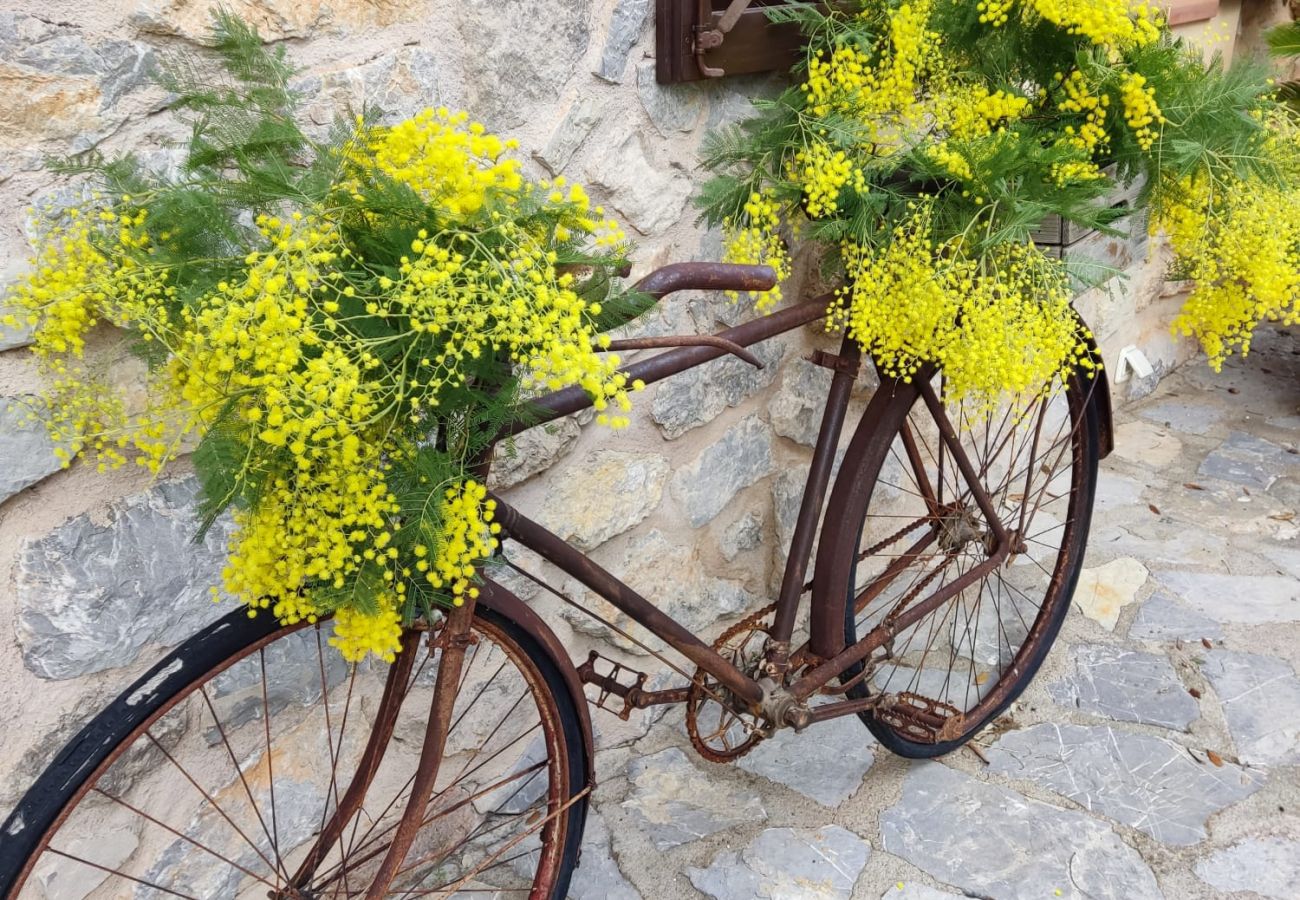 Villa en Arta - YourHouse Son Morey 