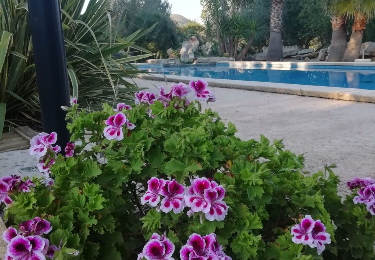Villa en Arta - YourHouse Son Morey 
