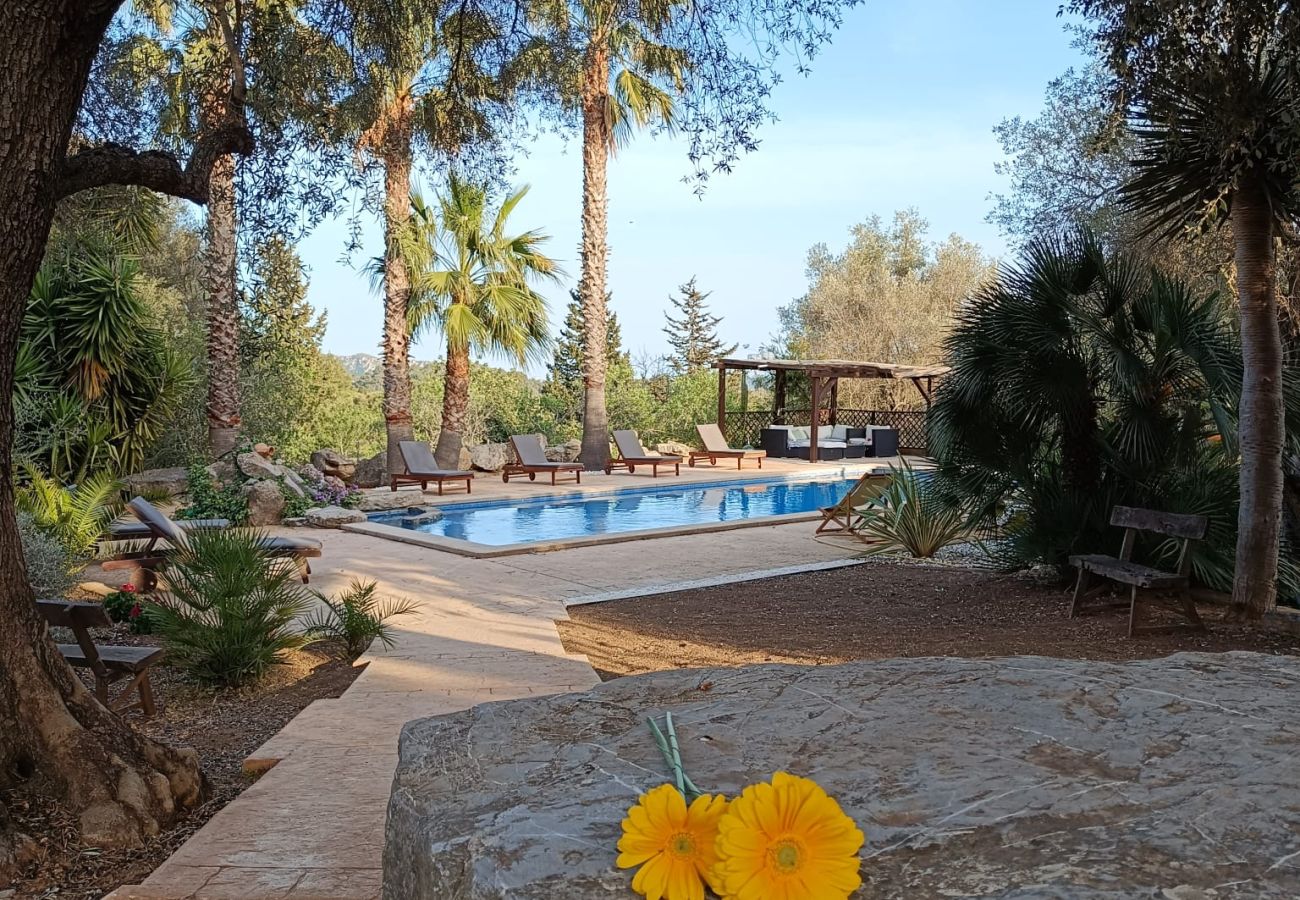 Villa en Arta - YourHouse Son Morey 