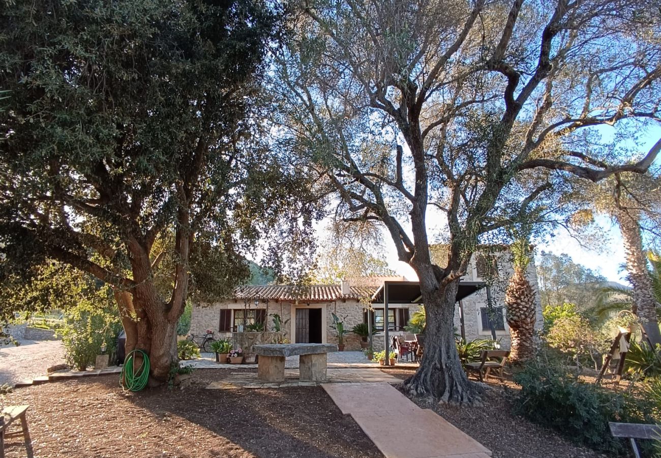 Villa en Arta - YourHouse Son Morey 