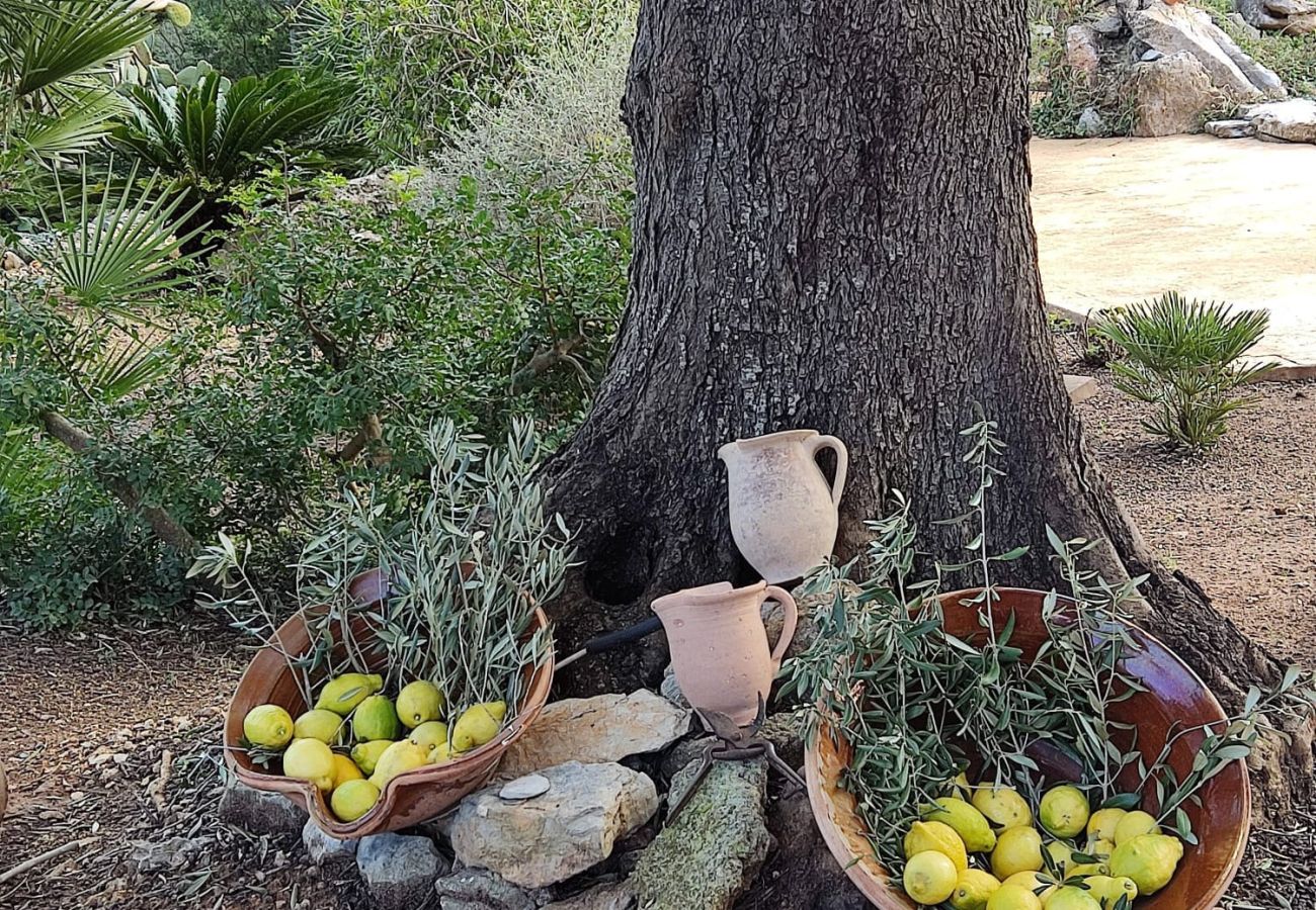 Villa en Arta - YourHouse Son Morey 