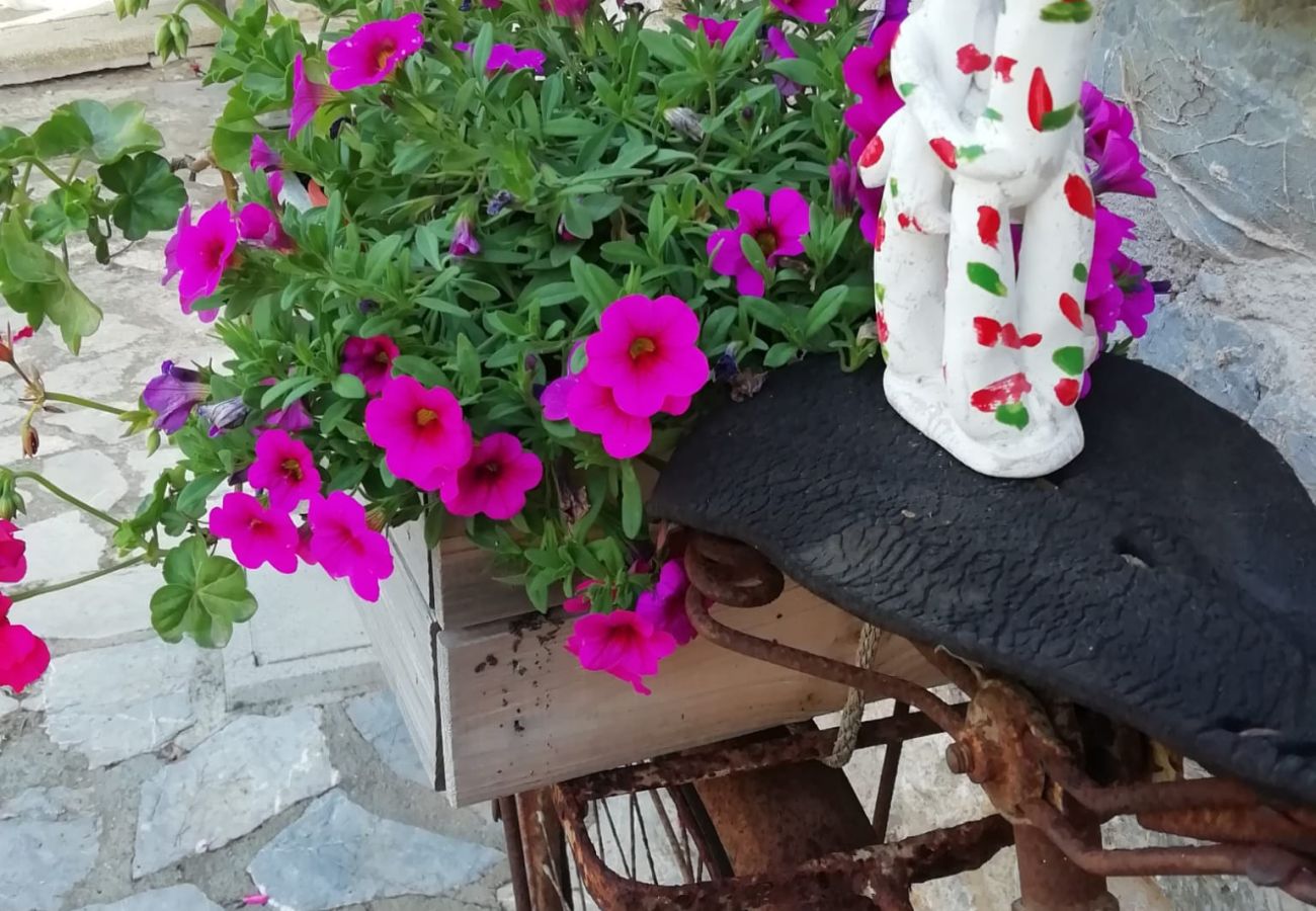 Villa en Arta - YourHouse Son Morey 