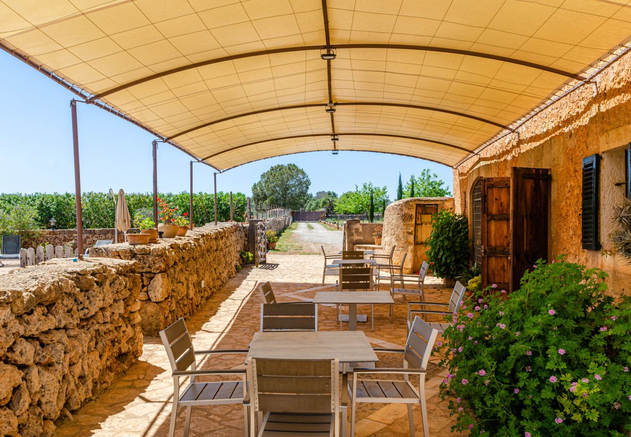 Estudio en Lloret de Vistalegre - YourHouse Agroturismo Can Porreti La Conillera