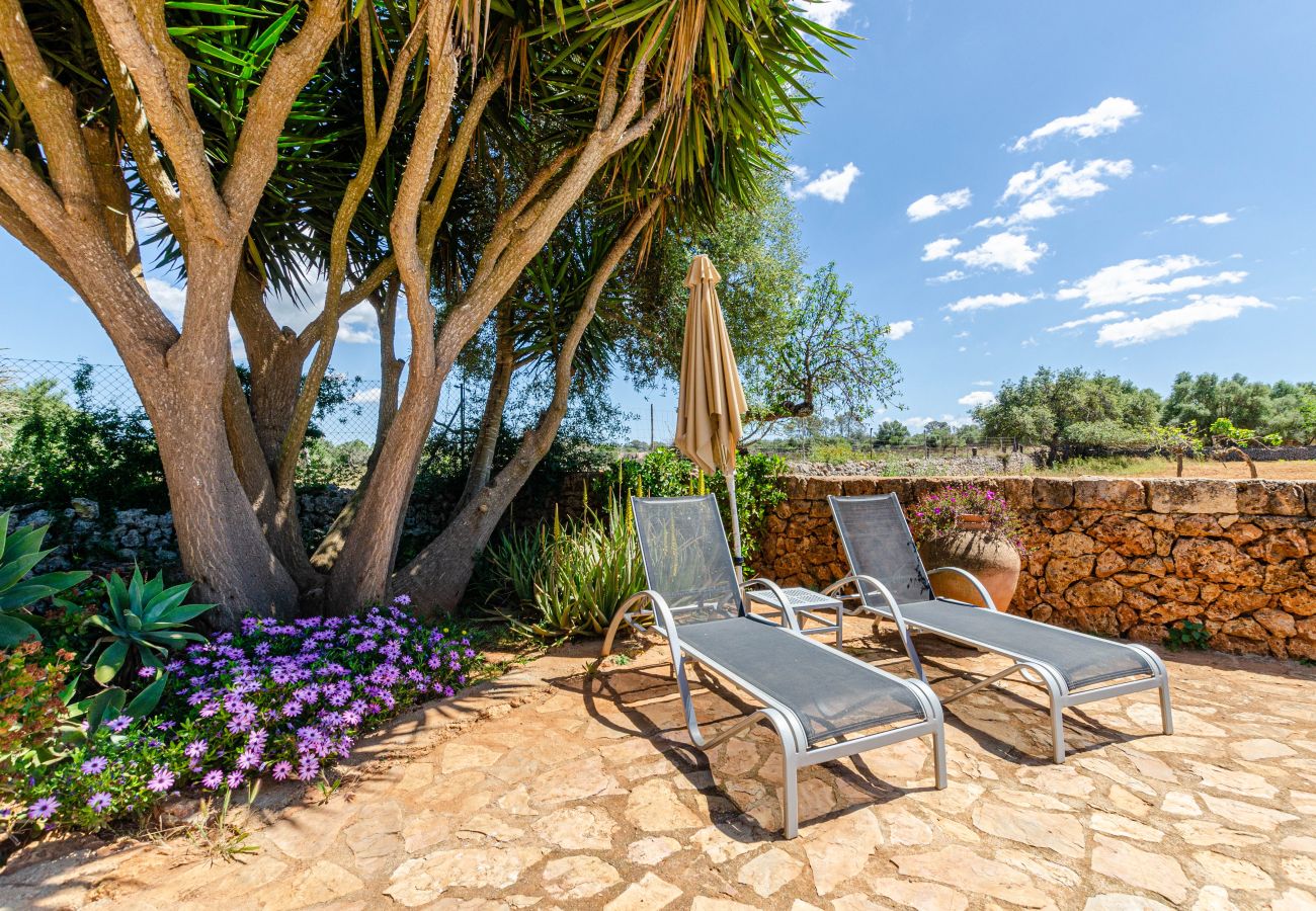 Estudio en Lloret de Vistalegre - YourHouse Agroturismo Can Porreti La Conillera