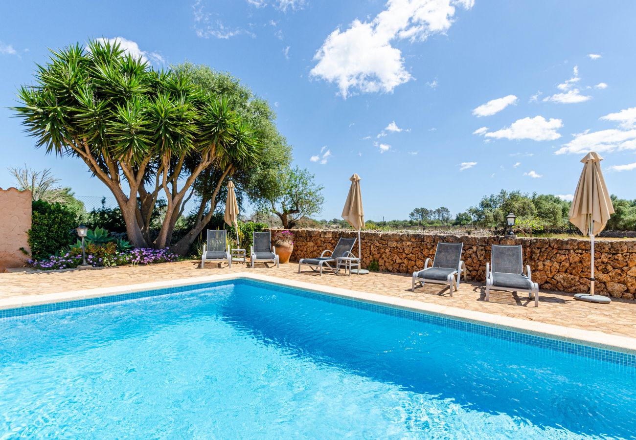 Estudio en Lloret de Vistalegre - YourHouse Agroturismo Can Porreti La Soll