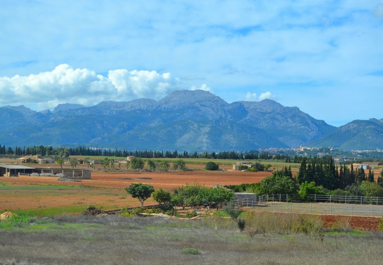 Villa auf Mallorca mieten