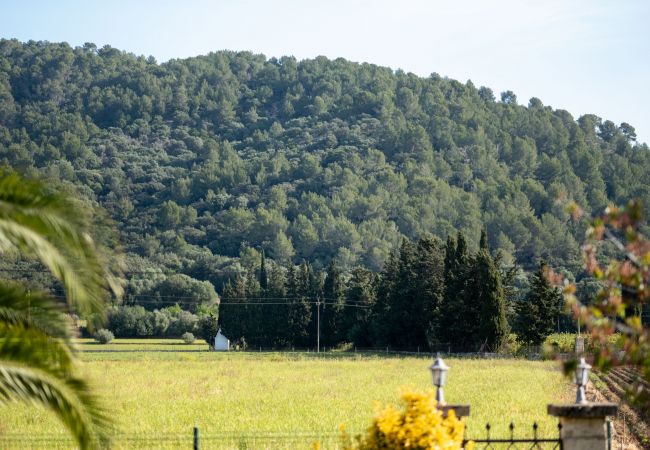 Finca in Sa Pobla - 040 Villa Can Mussol ETV/1463 by Mallorca Charme Finca in Sa Pobla - 040 Villa Can Mussol ETV/1463 by Mallorca Charme