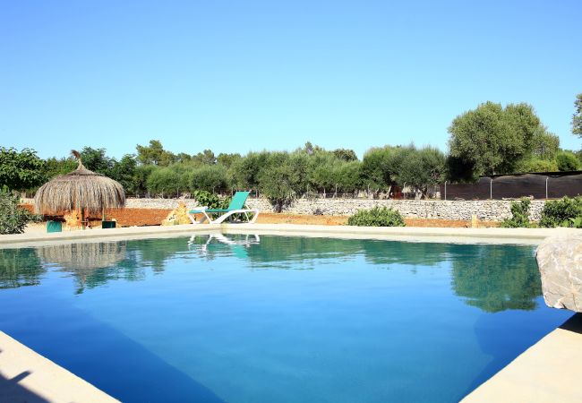 Finca in Muro - 225 Finca Sa Casita ETV/10575 by Mallorca Cha Finca in Muro - 225 Finca Sa Casita ETV/10575 by Mallorca Cha