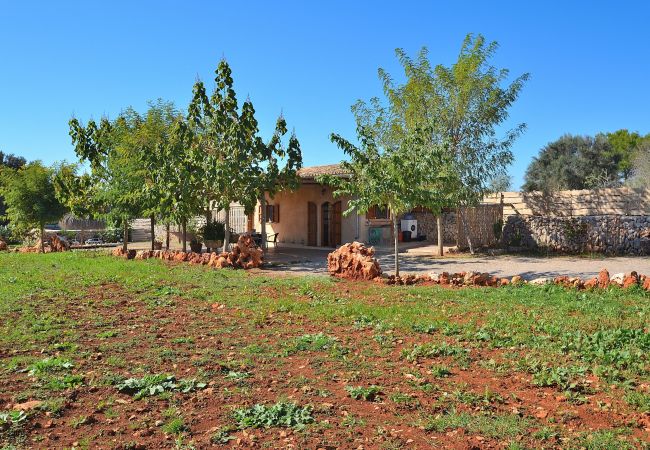 Finca in Muro - 225 Finca Sa Casita ETV/10575 by Mallorca Cha Finca in Muro - 225 Finca Sa Casita ETV/10575 by Mallorca Cha