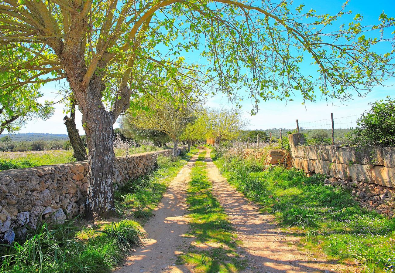 Finca in Son Serra de Marina - Finca Sa Cabaneta 235 by Mallorca Charme