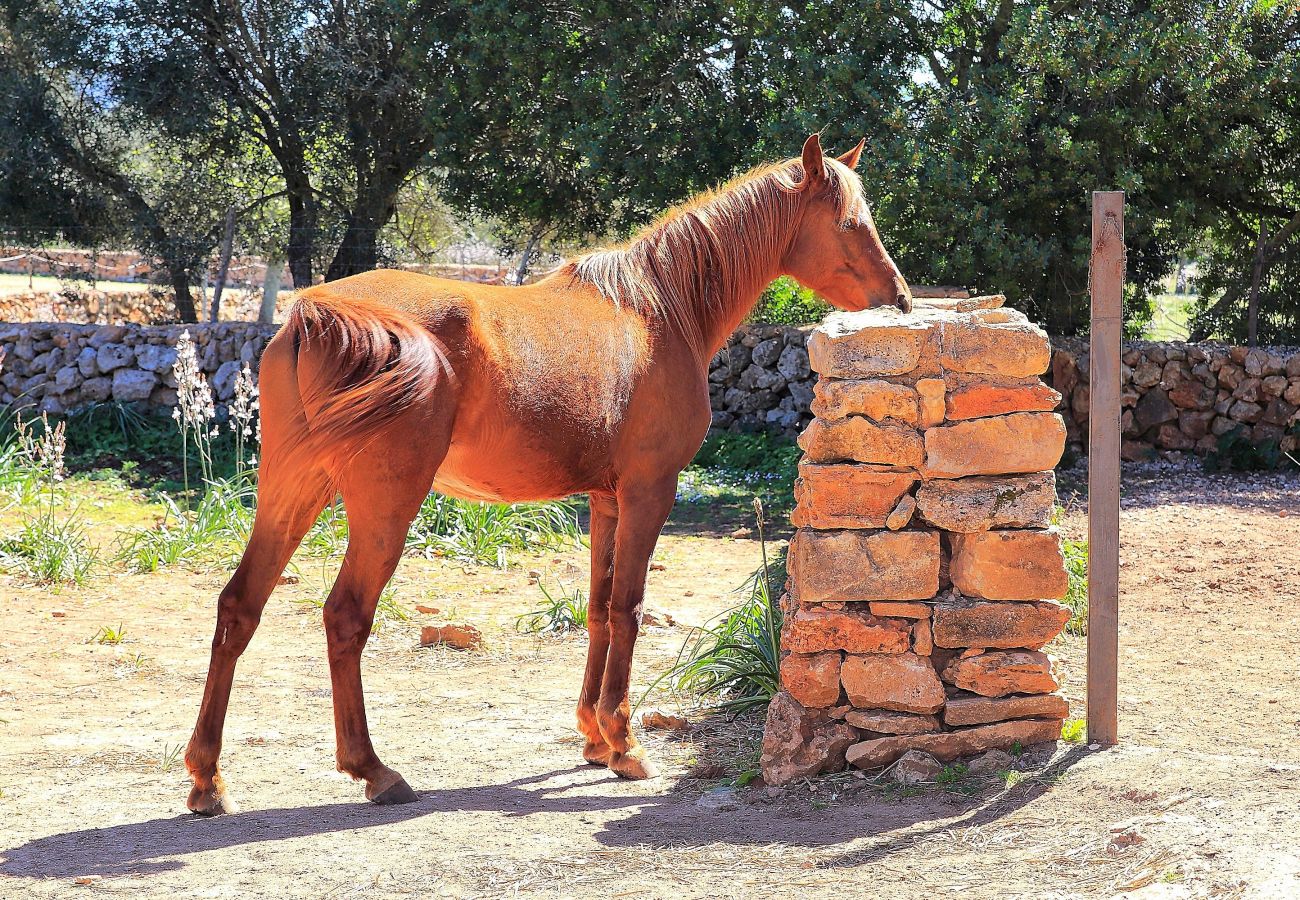 Finca in Son Serra de Marina - Finca Sa Cabaneta 235 by Mallorca Charme