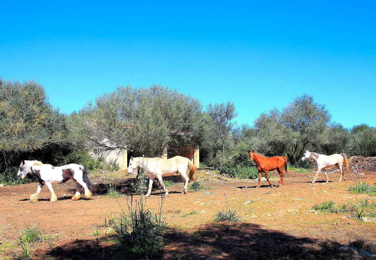 Finca in Son Serra de Marina - Finca Sa Cabaneta 235 by Mallorca Charme