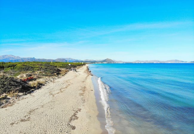 Ferienwohnung in Port d´Alcudia - 134 Apartamento Pins-Tugores ETVPL/13155 by Mallor Ferienwohnung in Port d´Alcudia - 134 Apartamento Pins-Tugores ETVPL/13155 by Mallor