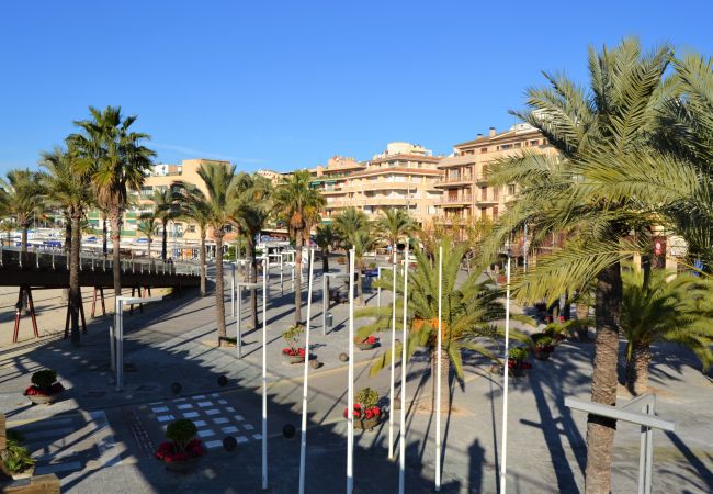 Ferienwohnung in Port d´Alcudia - 134 Apartamento Pins-Tugores ETVPL/13155 by Mallor Ferienwohnung in Port d´Alcudia - 134 Apartamento Pins-Tugores ETVPL/13155 by Mallor