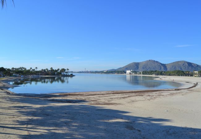 Ferienwohnung in Port d´Alcudia - 134 Apartamento Pins-Tugores ETVPL/13155 by Mallor Ferienwohnung in Port d´Alcudia - 134 Apartamento Pins-Tugores ETVPL/13155 by Mallor