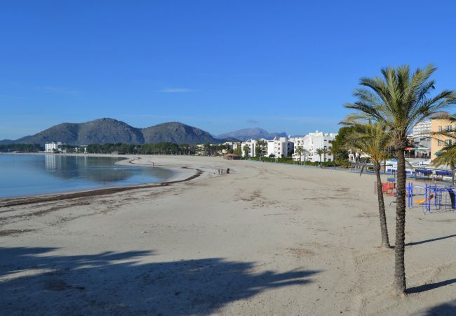 Ferienwohnung in Port d´Alcudia - 134 Apartamento Pins-Tugores ETVPL/13155 by Mallor Ferienwohnung in Port d´Alcudia - 134 Apartamento Pins-Tugores ETVPL/13155 by Mallor