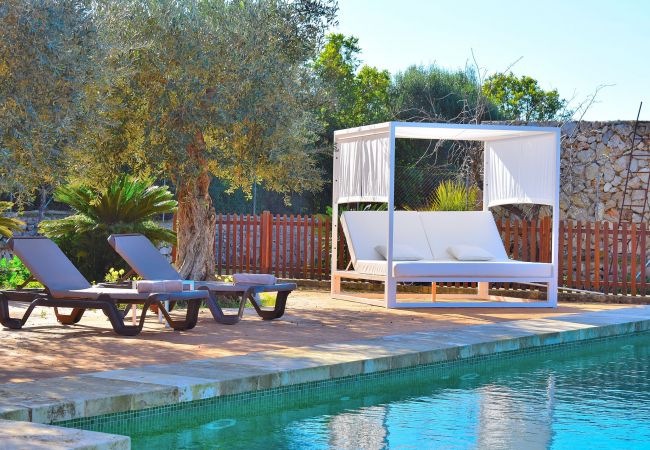 Pool und Solarium der Finca in Sineu