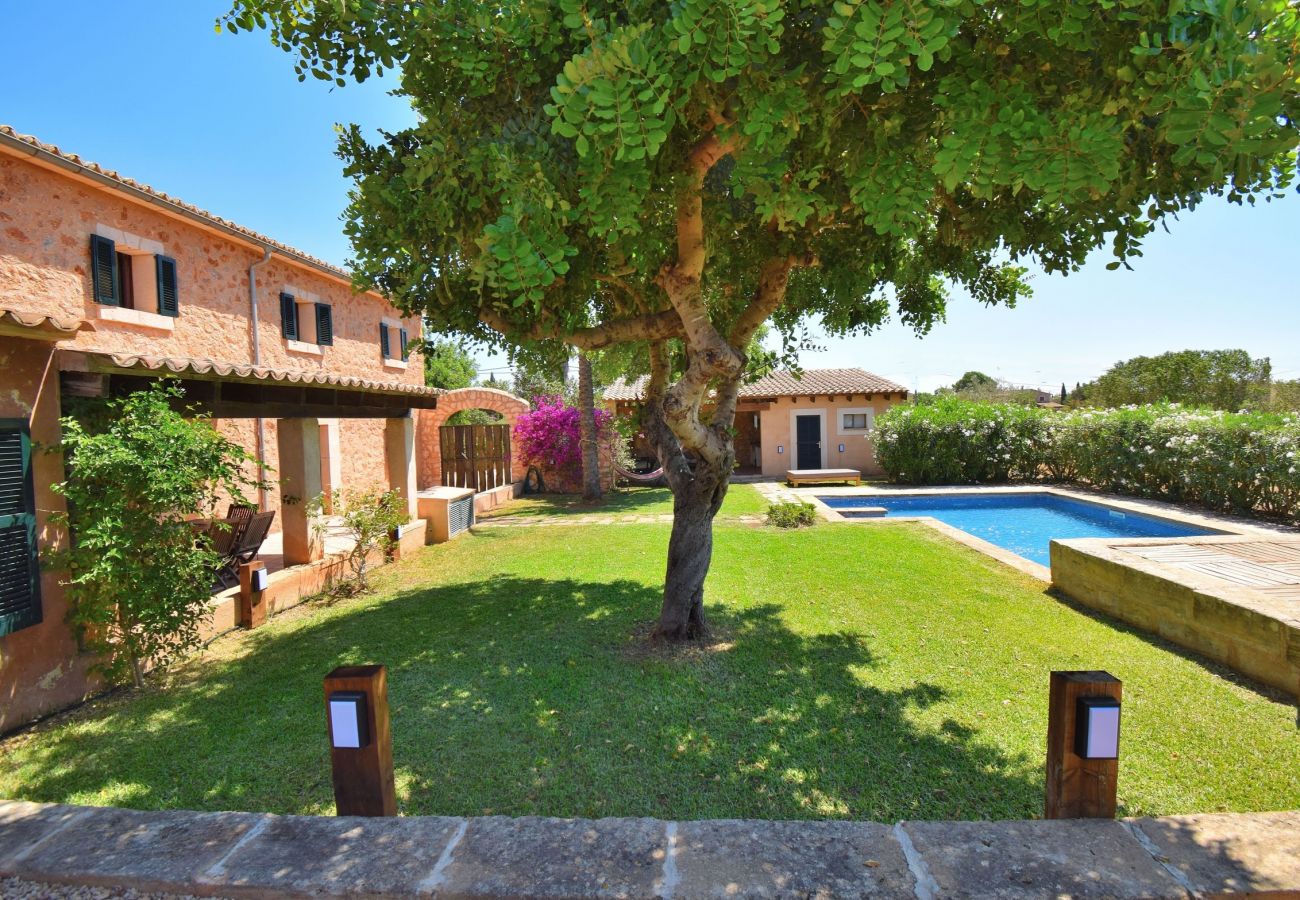 Villa in Santa Maria del Cami - 063 Villa Siscelis by Mallorca Charme