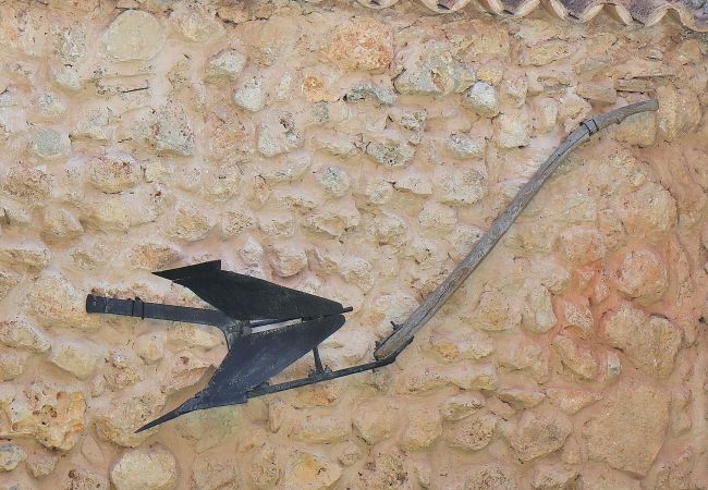 Villa in Muro - 243 Villa Can Bassa ETV/3623 by Mallorca Charme Villa in Muro - 243 Villa Can Bassa ETV/3623 by Mallorca Charme