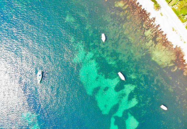 Finca in Muro - 108 Finca Son Morey Tarongers ETV/14340 by Mallorc Finca in Muro - 108 Finca Son Morey Tarongers ETV/14340 by Mallorc