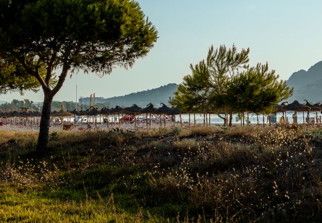 Ferienwohnung in Alcúdia - Apartment Playa 2D in Puerto de Alcudia Ferienwohnung in Alcúdia - Apartment Playa 2D in Puerto de Alcudia