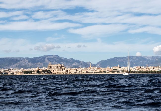 Ferienwohnung in Alcúdia - Apartment Playa 2D in Puerto de Alcudia Ferienwohnung in Alcúdia - Apartment Playa 2D in Puerto de Alcudia