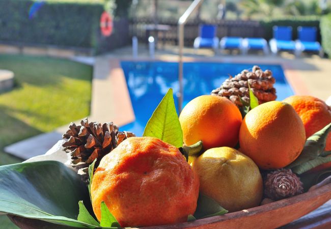 Finca in Ariany - 250 Finca Can Xisco Domatiga ETV/905 by Mallorca C Finca in Ariany - 250 Finca Can Xisco Domatiga ETV/905 by Mallorca C