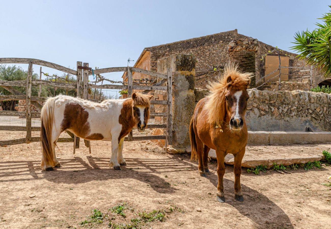 Agrotourismus in Campos - YourHouse Son Sala Agroturismo Vina Vella - doble